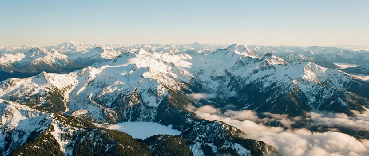 Expanded preview animation